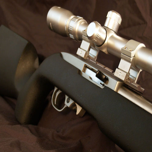 ruger10/22